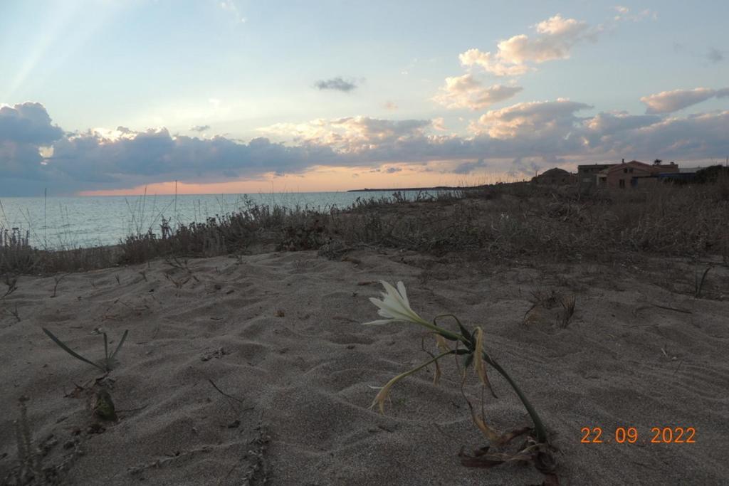 Arangioa - Senafer - Villa Funtana Meiga Dış mekan fotoğraf