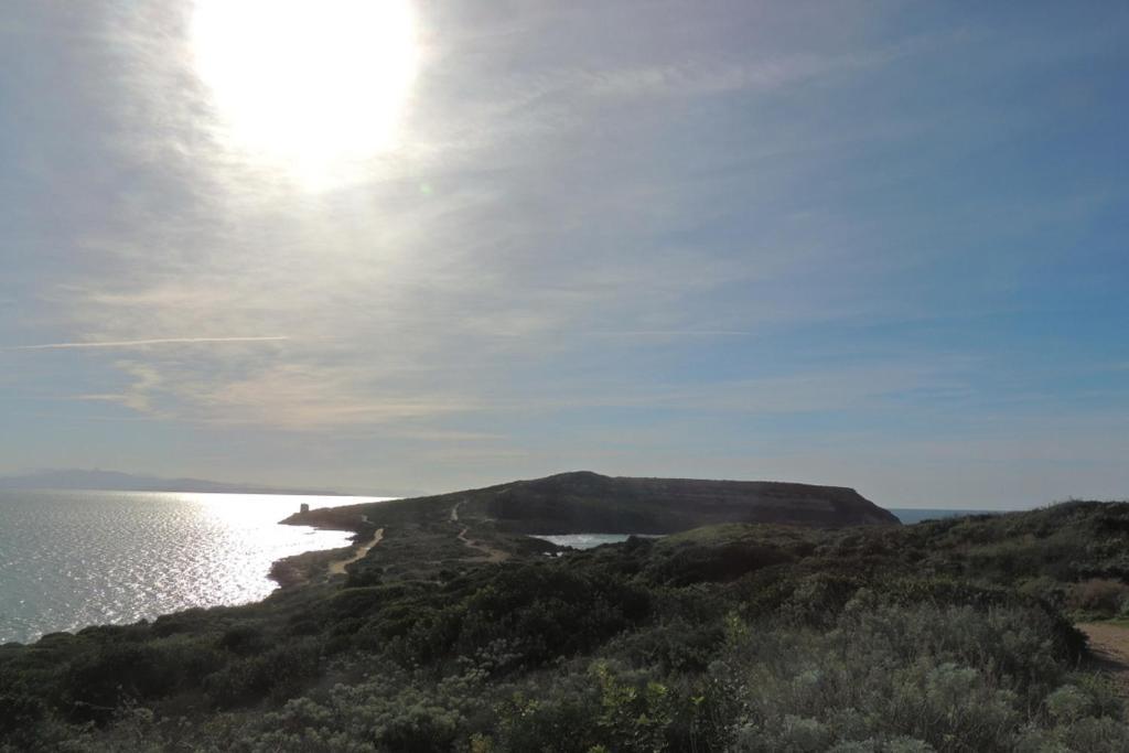 Arangioa - Senafer - Villa Funtana Meiga Dış mekan fotoğraf