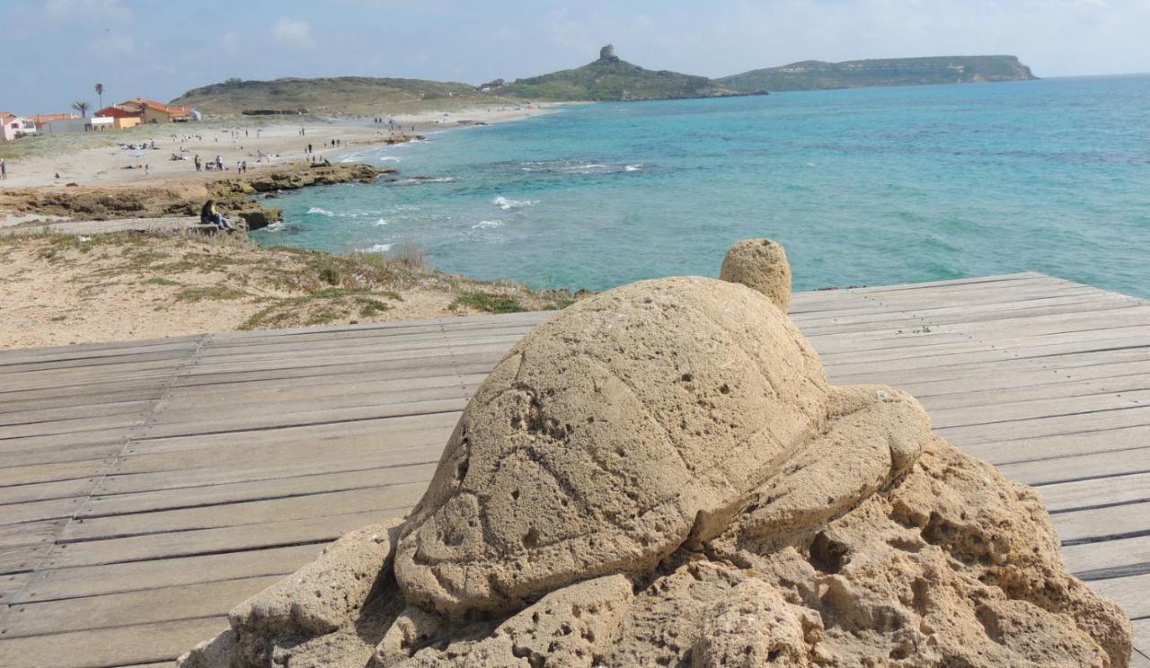 Arangioa - Senafer - Villa Funtana Meiga Dış mekan fotoğraf